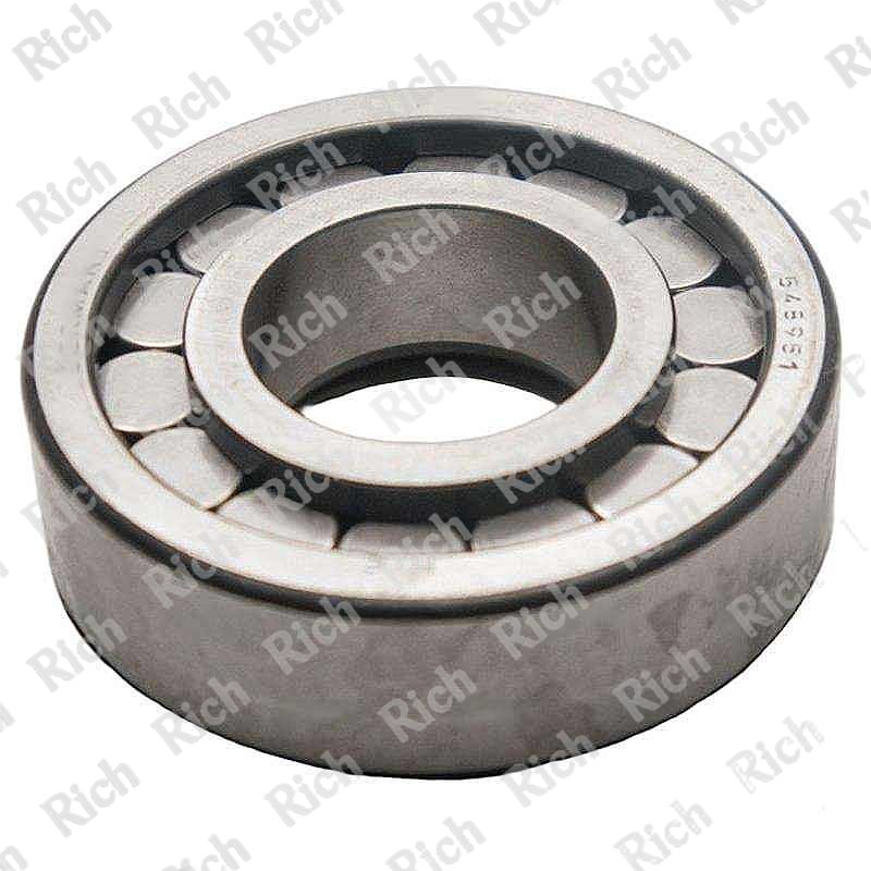 548951 RICH 27,8x62x18 548951 RICH