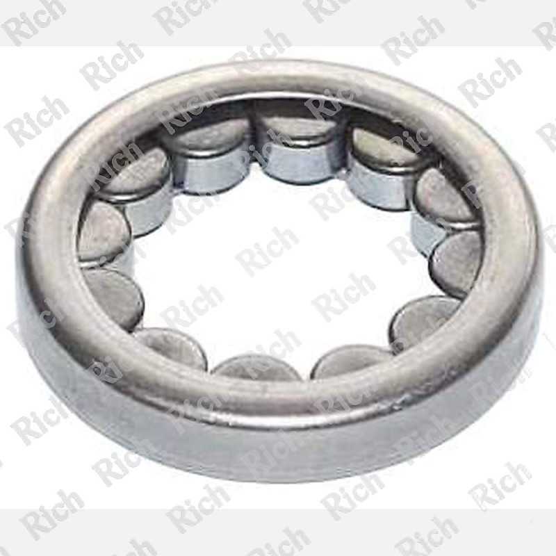 F-65769 RICH 19,05x34,125x6,35 F-65769 RICH