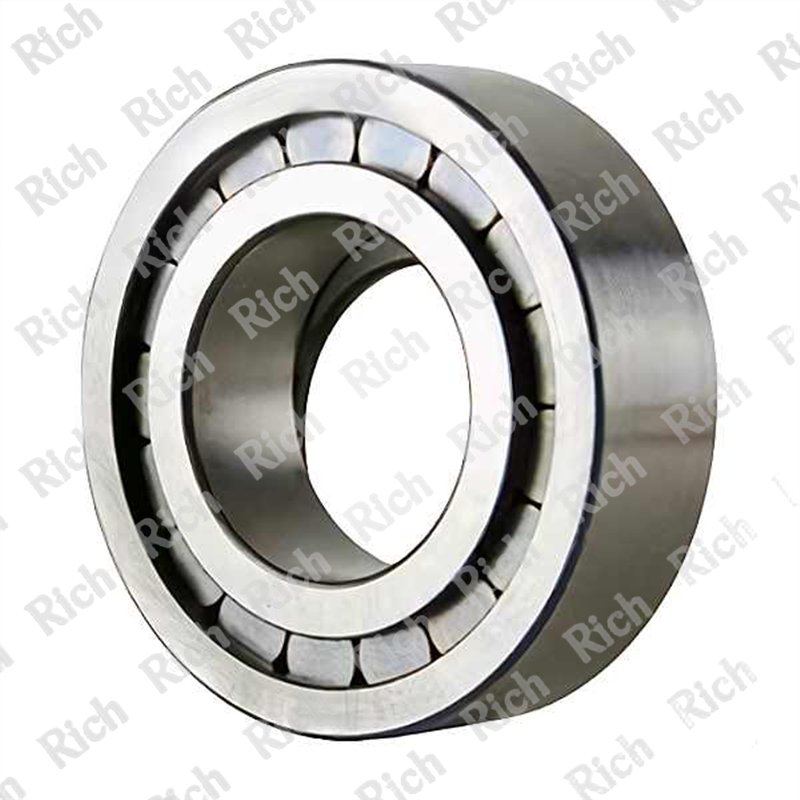 F-201872 RICH 45x85x25 F201872NUP RICH