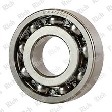 6304/22 C4 RICH 22x52x15 6304/22-C4 RICH