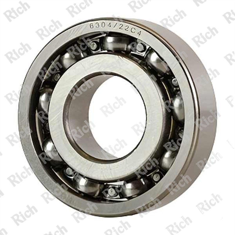 6304/22 C4 RICH 22x52x15 6304/22-C4 RICH