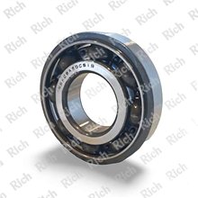 SX08A50CS19 RICH 40x90x23 SX08A50CS19 RICH