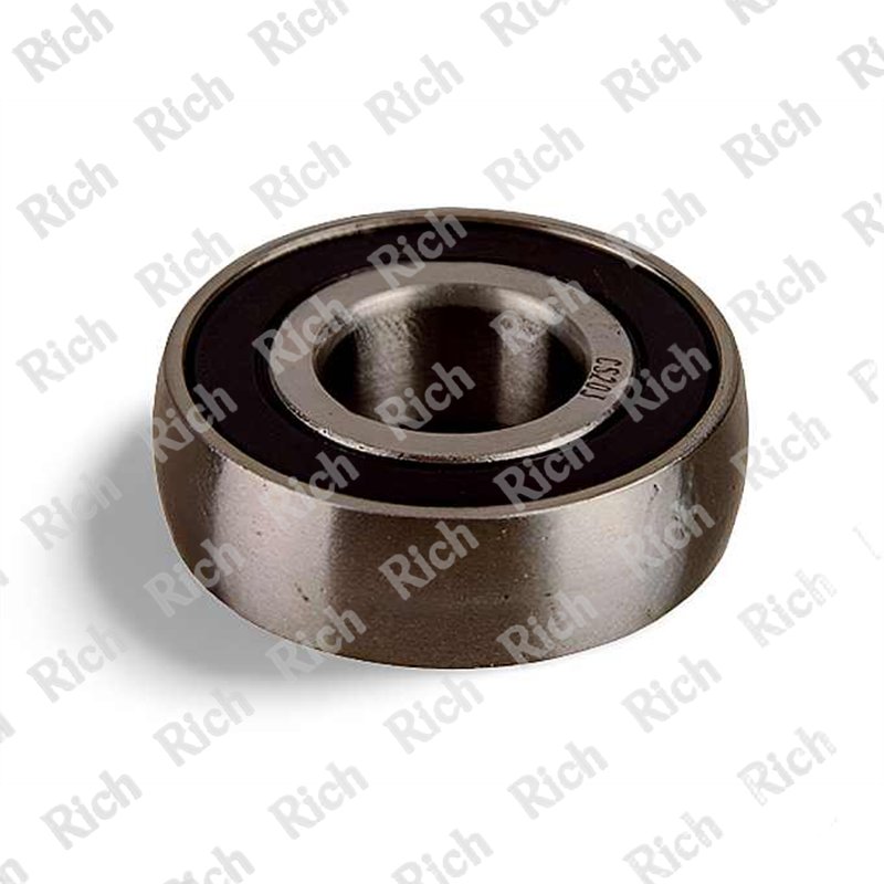 CS203-2RS RICH 17x40x12 CS203-2RS RICH