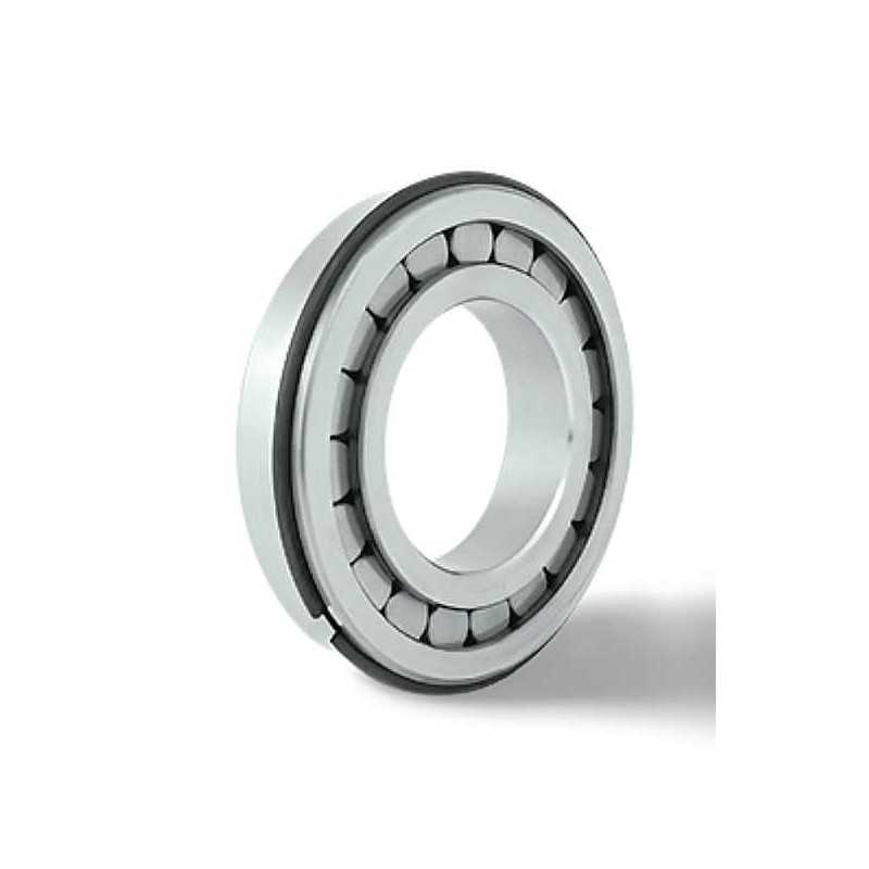 NJ 308 VH NR C4 RICH 40x90x23 NJ308VHNRC4 RICH