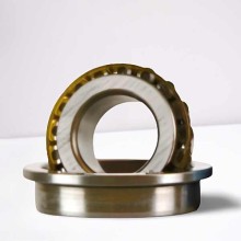 562495 RICH 21,986x45x6,6 562495 RICH