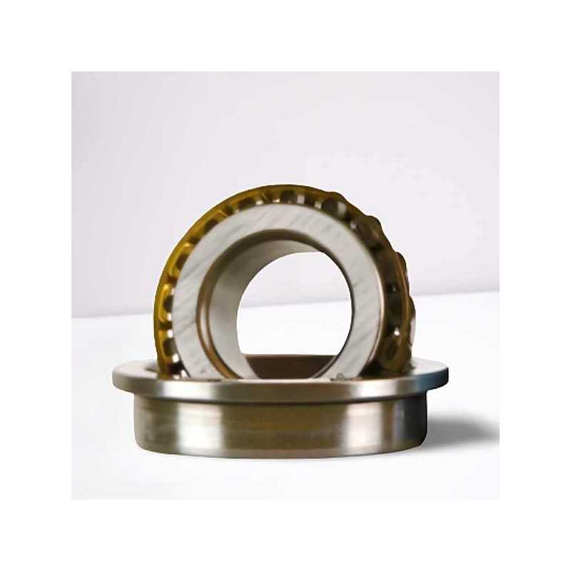 562495 RICH 21,986x45x6,6 562495 RICH