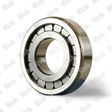 RC 19034 RICH 40x90x23 R19034 RICH