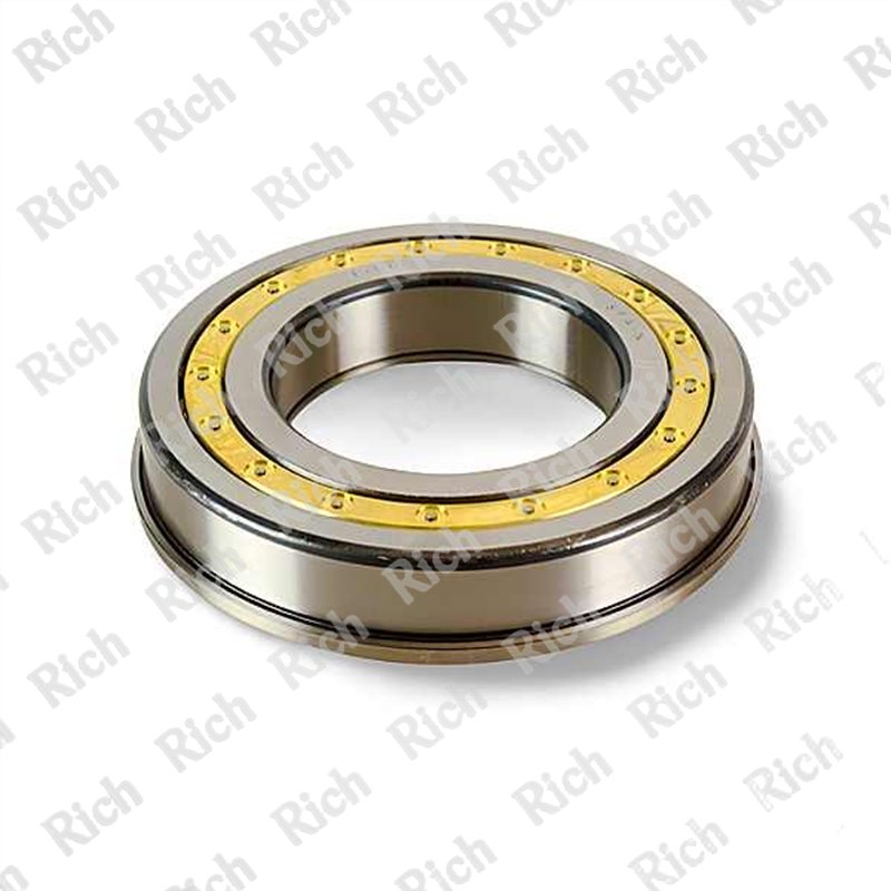 R19022 (524213M) RICH 84,98x150x27,5 R19022 RICH