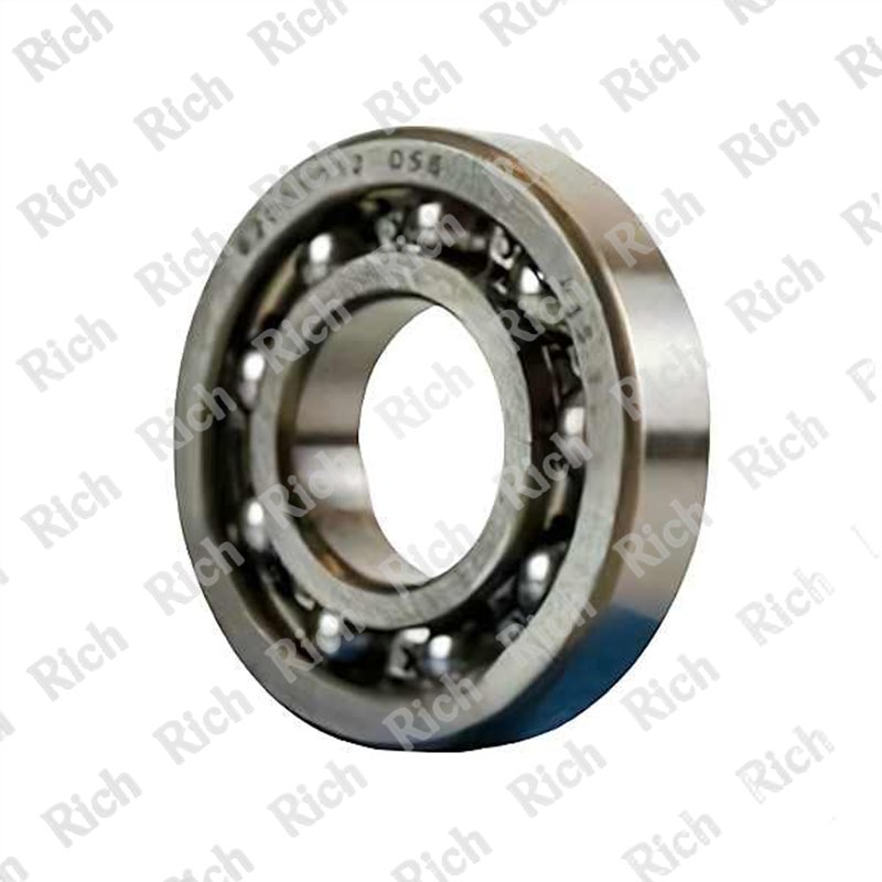 6205 B12 D56 RICH 25x56x12 6205-B12-D56 RICH