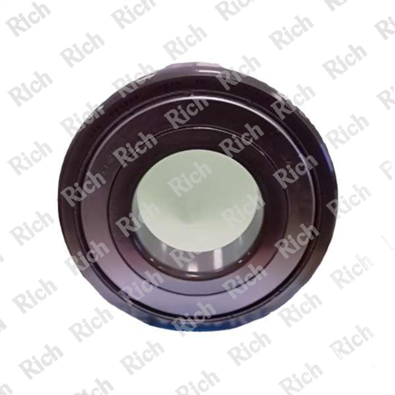 6200 ZZ C4/RPK RICH 10x30x9 | Special Grease 6200-ZZC4/RPK RICH