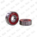 6004 2RS C3/RPK RICH 20x42x12 | Special Grease 60042RSC3/RPK RICH