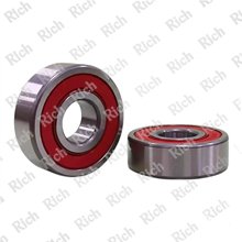 6000 2RS/RPK RICH 10x26x8 | Special Grease 60002RS/RPK RICH