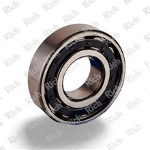 N307 E RICH 35x80x21 N307E RICH