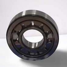 NU320 E C3 RICH 100x215x47 NU320EC3 RICH