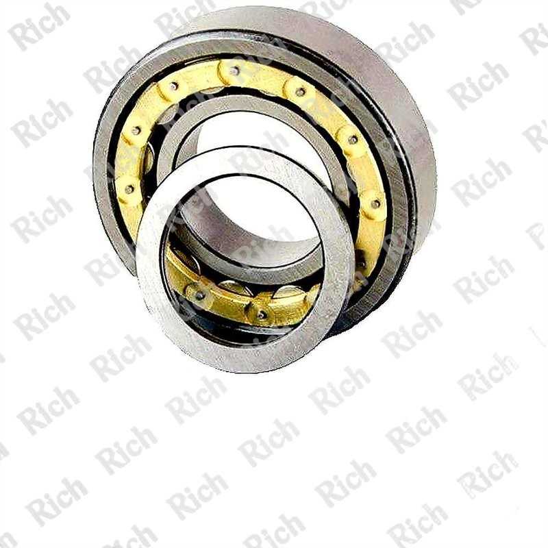 NUP305 M RICH 25x62x17 NUP305M RICH