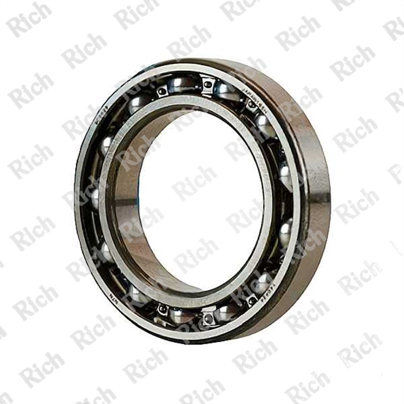 SC0929 RICH 43x68x13 SC0929 RICH