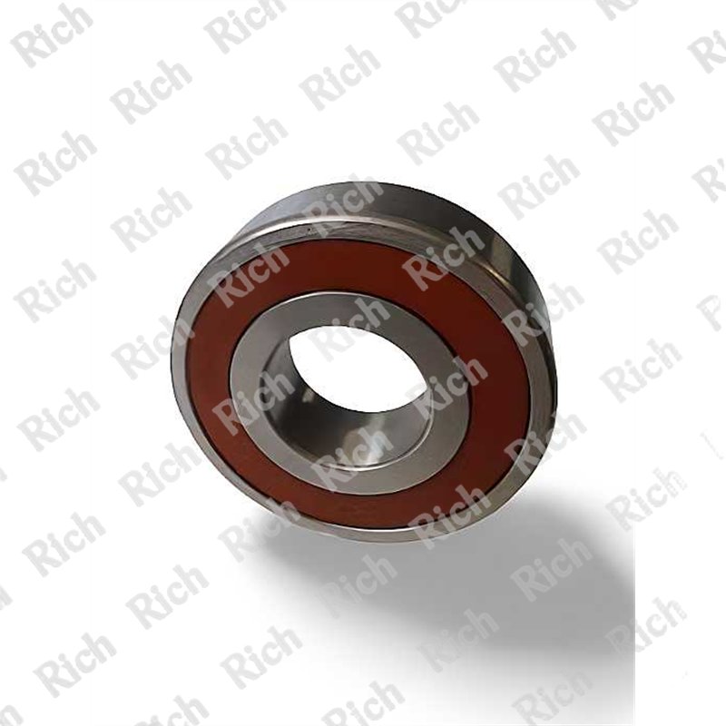 286519 2RS C3 RICH 28x65x19 DG286519-2RS-C3 RICH