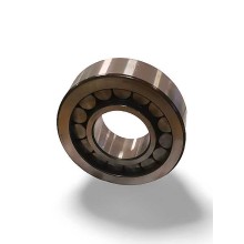 NJ 0620 VH RICH 25x58x20 NJ0620VH RICH