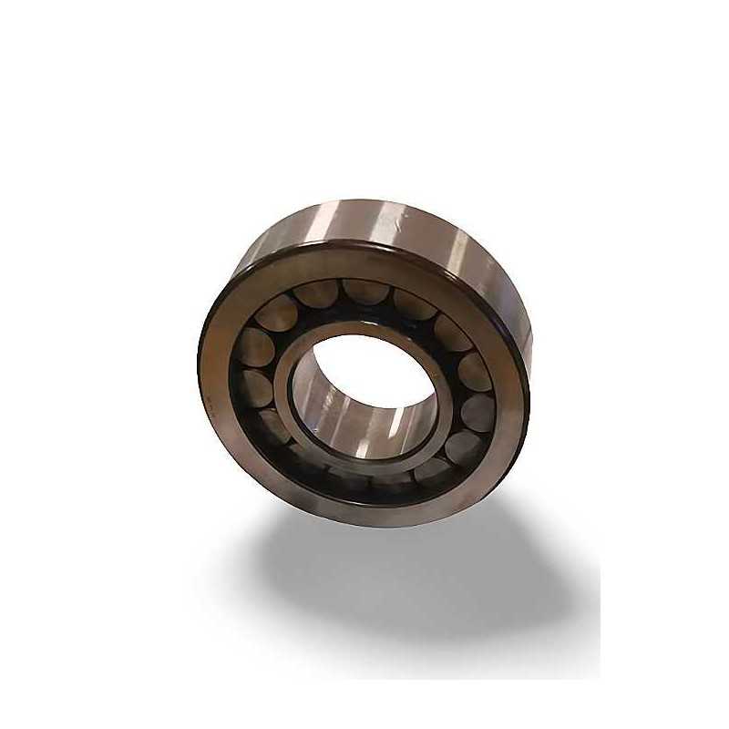 NJ 0620 VH RICH 25x58x20 NJ0620VH RICH