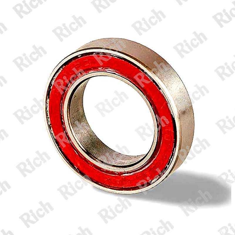 MR 17286 2RS RICH 17x28x6 MR17286-2RS RICH