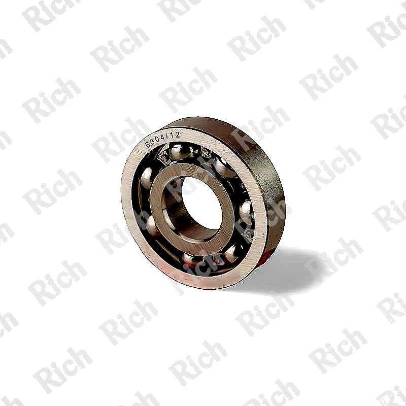 6304/12 RICH 20x52x12 6304/12 RICH