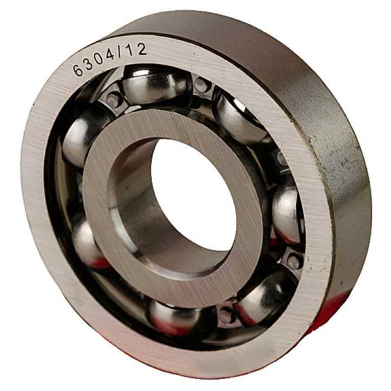 6304/12 RICH 20x52x12 6304/12 RICH