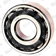 N311 E RICH 55x120x29 N311E RICH