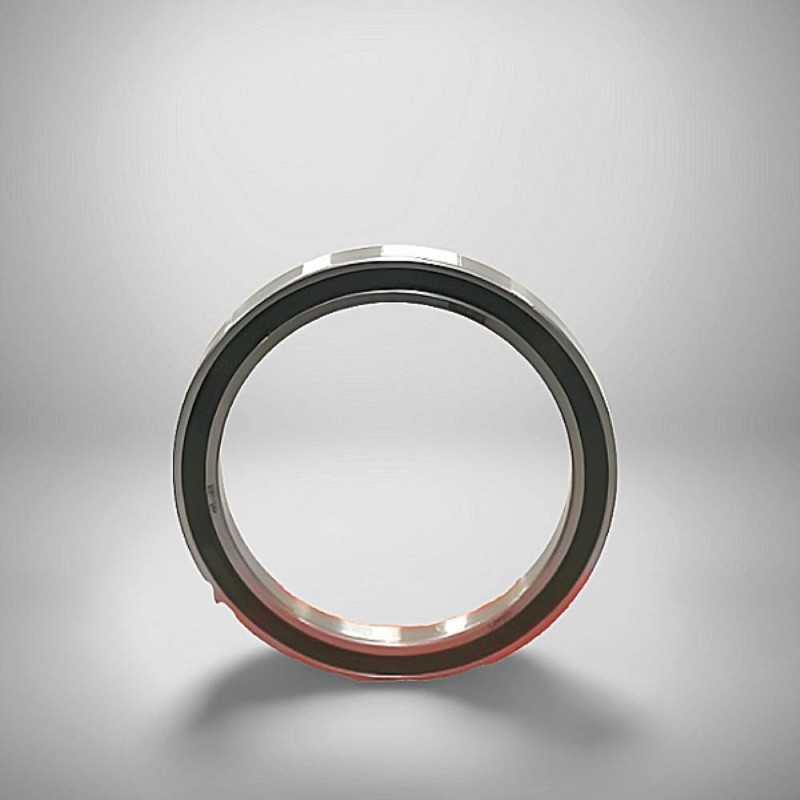 6819-2RS RICH 90x115x13 6819-2RS RICH