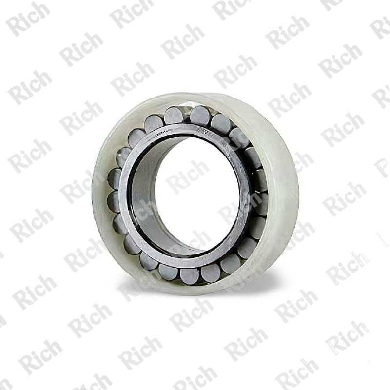 RNCF3007 RICH 35x55,52x20 RNCF3007 RICH