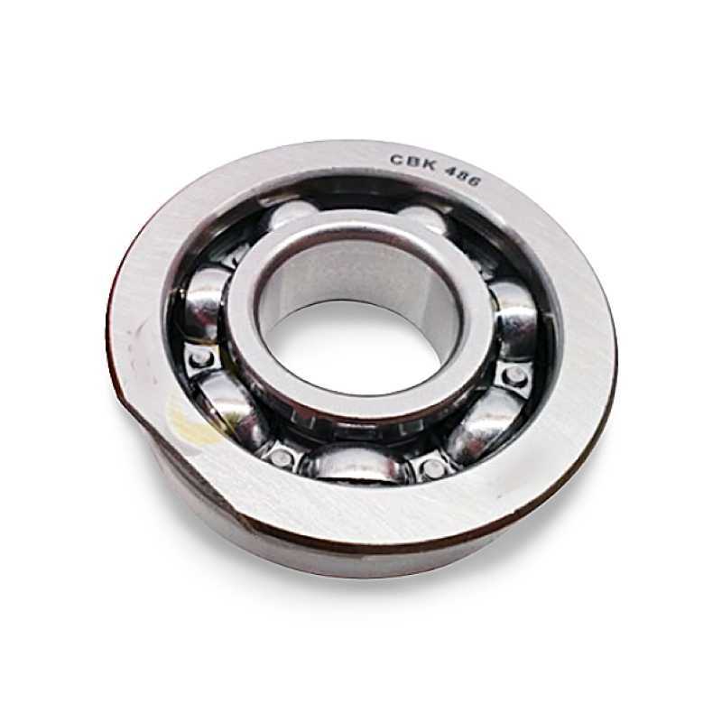 CBK486 RICH 22x52x15 CBK486 RICH