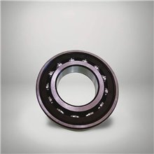 7307 B RICH 35x80x21 7307-B RICH