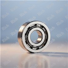 25RT59S N C3 RICH 25x59x24 25RT59SNC3 RICH