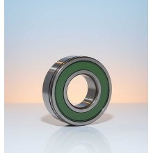 RD-M1025 N C3 (25TM10NXC3) RICH 25x52x15 25TM10NXC3 RICH