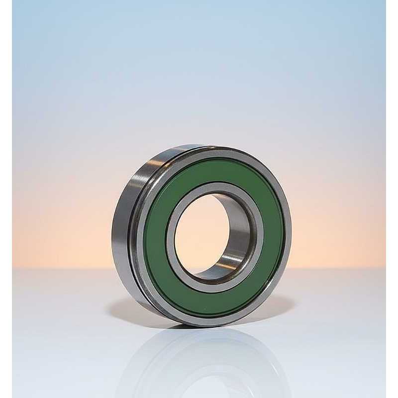 RD-M1025 N C3 (25TM10NXC3) RICH 25x52x15 25TM10NXC3 RICH