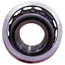 576582 RICH 44,5x95X6 576582TR1 RICH