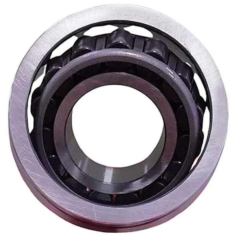 576582 RICH 44,5x95X6 576582TR1 RICH