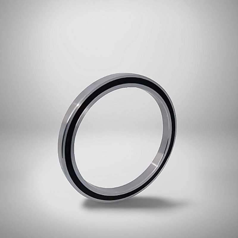 SS-16100-2RS RICH 10x28x8 SS16100-2RS RICH