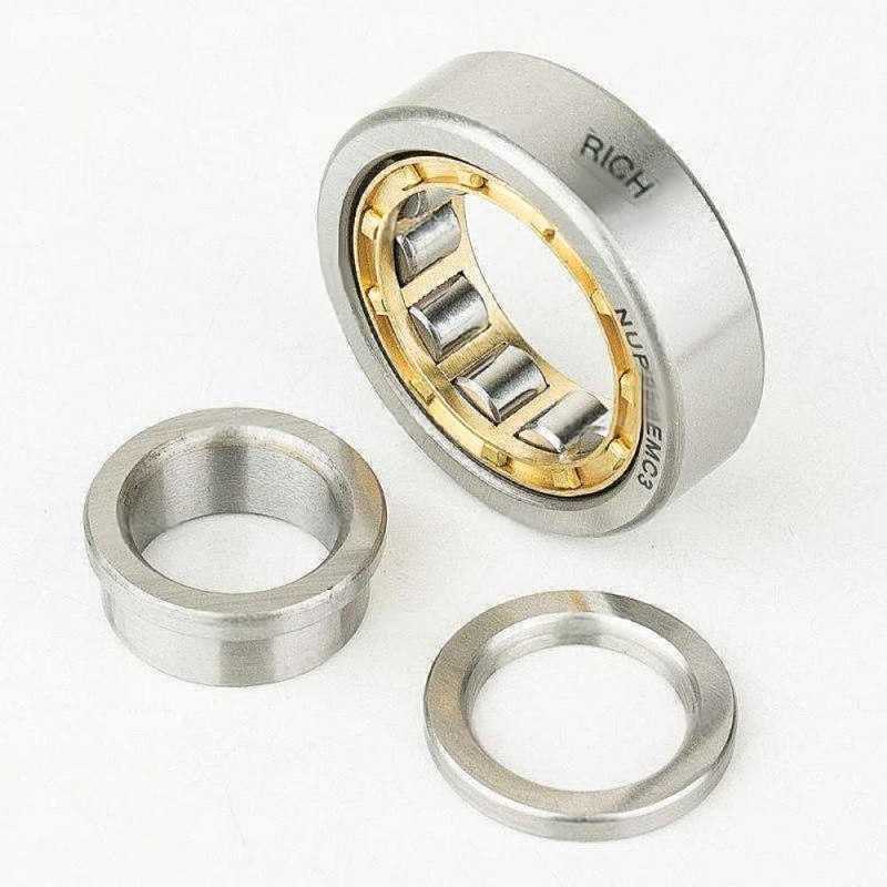 NUP2305 EM C3 RICH 25x62x34 NUP2305EM-C3 RICH