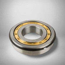 NUP 409 M NR RICH 45x120x29 NUP409MNR RICH