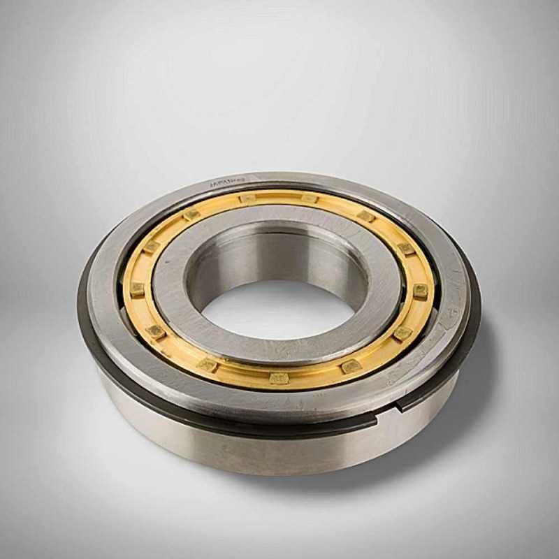 NUP 409 M NR RICH 45x120x29 NUP409MNR RICH
