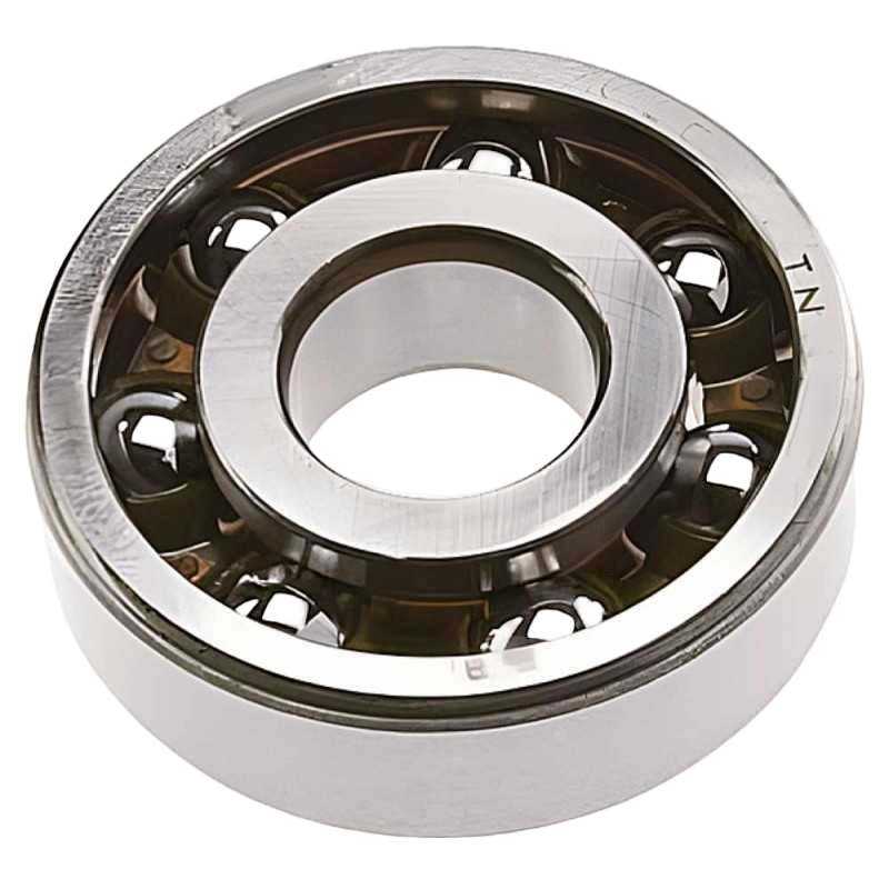 6004 TN RICH 20x42x12 6004TN RICH