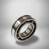 6214 N RICH 70x125x24 6214-N RICH