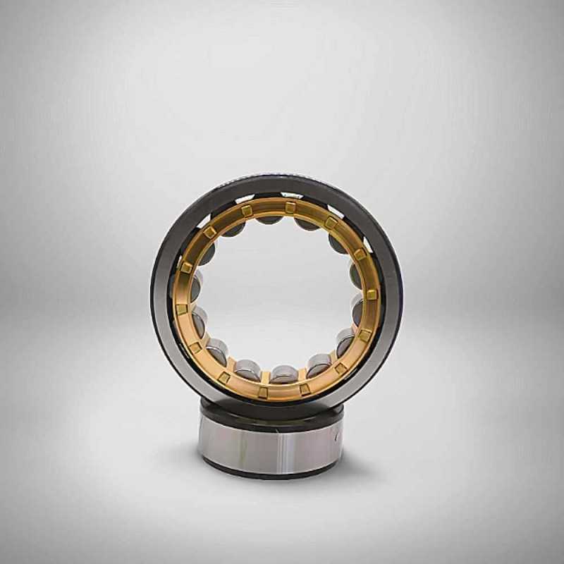 NU 1032 M RICH160x2405x38 NU1032M RICH