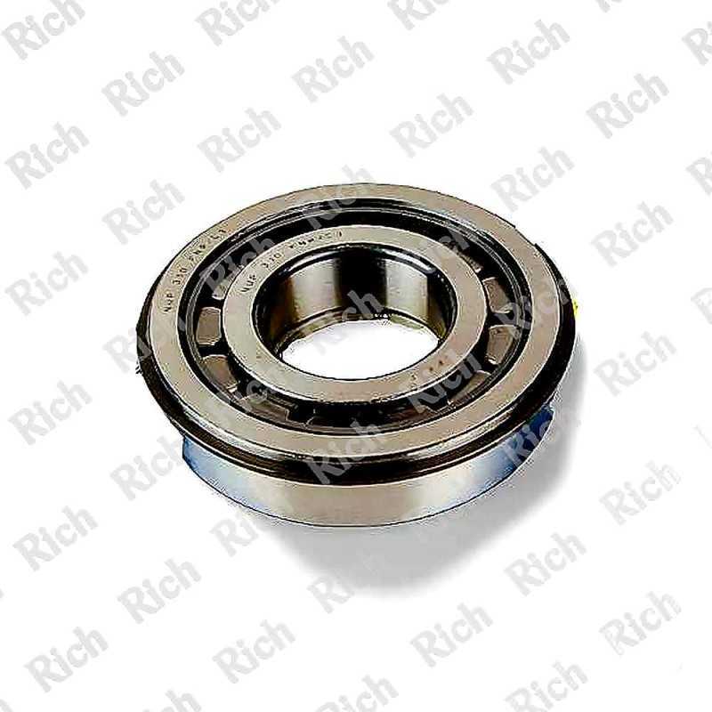 NUP 310 E NR C3 RICH 50x110x27 NUP310ENR/C3 RICH
