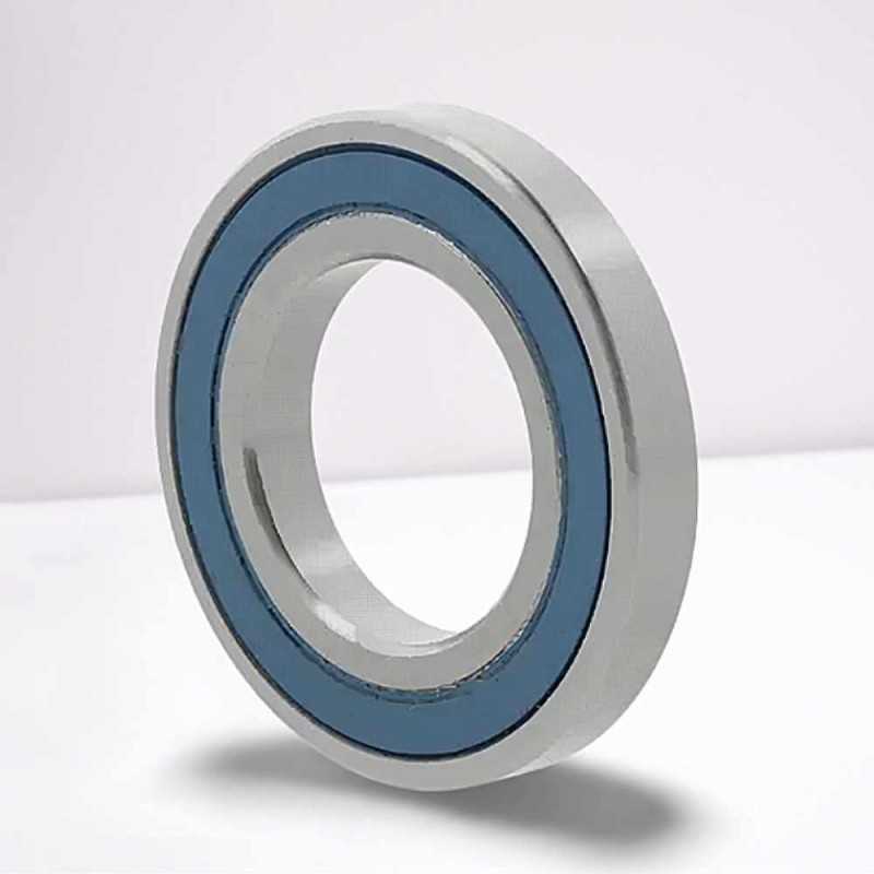 1603 2RS RICH 7,937x22,225x8,731 SS-1607-2RS RICH