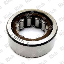 F-123835.6 RICH 22,375x41x17 F-123835.6-RNU RICH