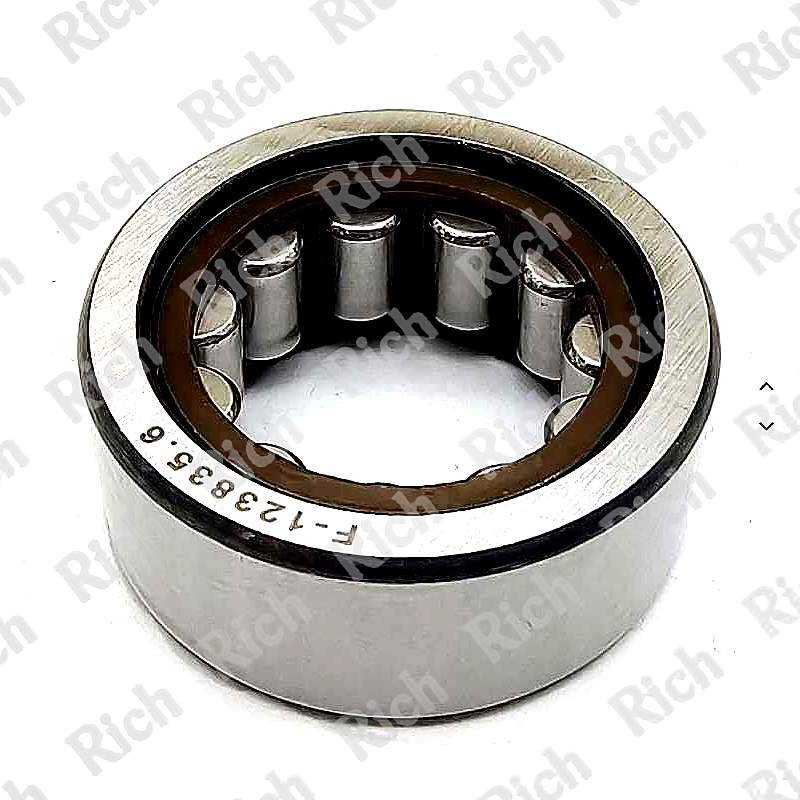 F-123835.6 RICH 22,375x41x17 F-123835.6-RNU RICH