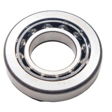 F-566311.08 RICH Single Row Angular-Contact Ball Bearing