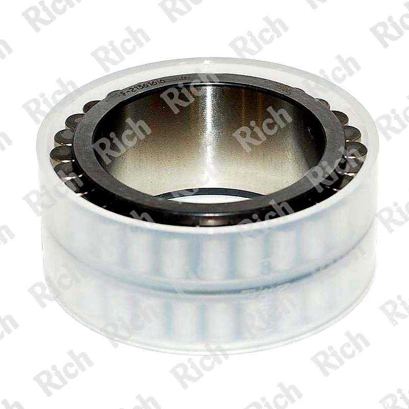 F-213616 RICH 50x69,67x32 F-213616 RICH