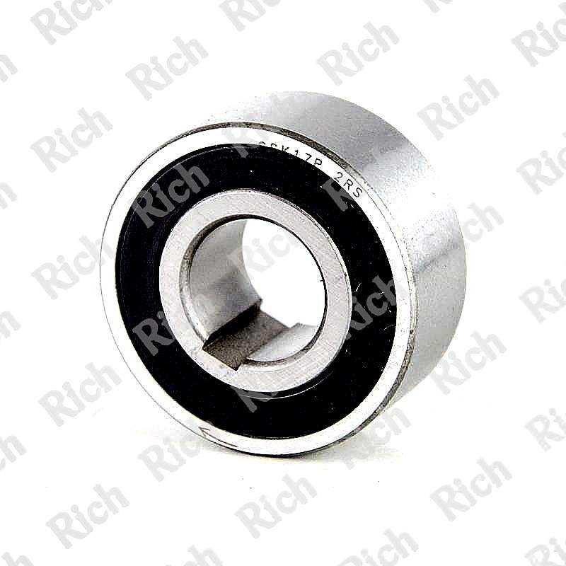 CSK 17 P 2RS RICH 17x40x17 CSK17P2RS RICH